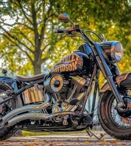 Harley Davidson Gifts