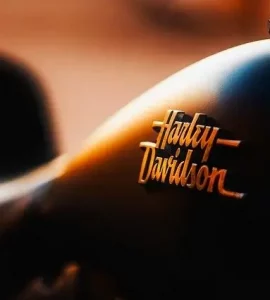 Harley Davidson Shower Curtain Ideas
